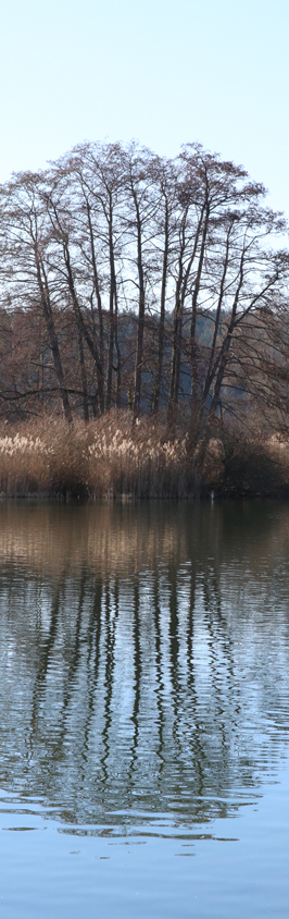 Jin Shin Jyutsu | Bodensee | Heike Kuschel